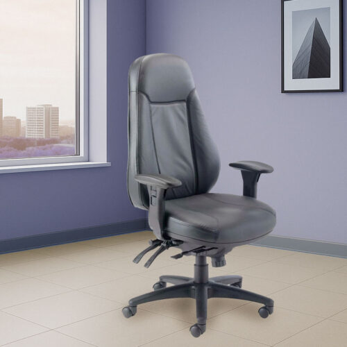 Leather Chiro Approved Chairs