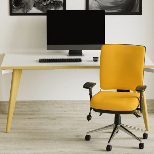 Chiro Approved Chairs Medium Back