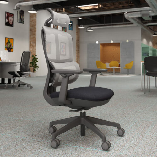 Mesh Back Chiro Approved Chairs