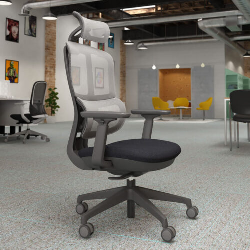 Ergonomic Mesh Back Chairs