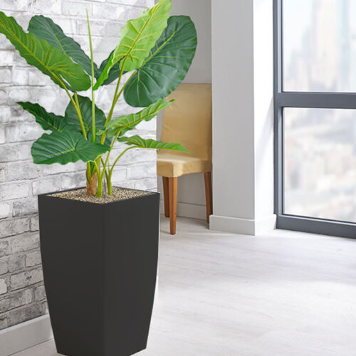 Office Plants Sheffield